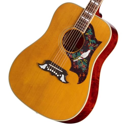 Amazon | Epiphone/Inspired by Gibson Custom 1963 Dove Reissue