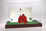 Dream Keepers Large Tower of London Poppy Display Case with Hand Crafted Wooden Base with Green Felt Lining