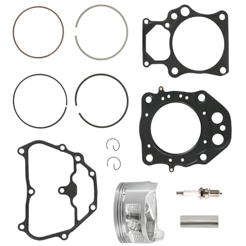 labwork Piston Rings Gasket Kit Replacement for Honda Rancher 420 TRX420 Replacement for 12251-HP7-A01 13101-HP5-600