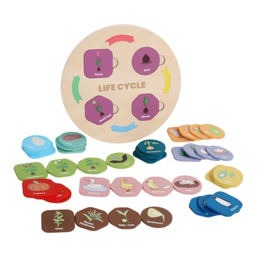 JunZheHub モンテッソーリライフサイクルパズルボードキット、科学学習アクティビティおもちゃ、木製パズル、子供向けライフスタイルステージギフト