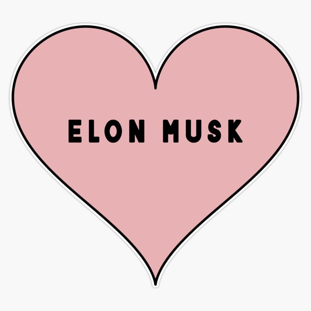 Trust E,I Don't Like Elon Either Sticker- Anti Elon Usk Car Stickers