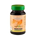 NEKTON