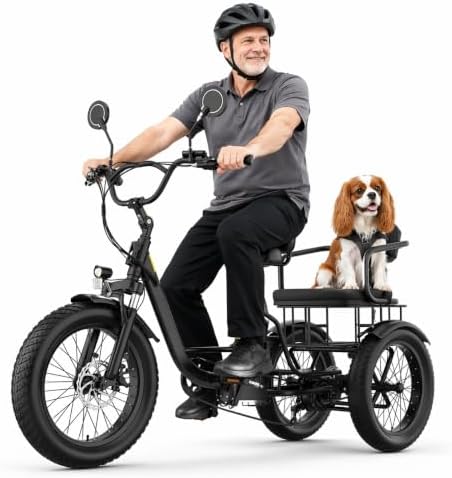 ANCHEER Electric Tricycle for Adults, 20