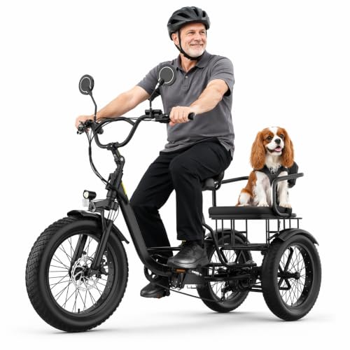 Image of ANCHEER Electric Tricycle for Adults, 20 inch Fat Tire Electric Trike, 15.5MPH Ebike for Seniors, 3 Wheel Electric Bike, 864Wh Removable Battery, LCD, Rear Differential, Rear Seat Basket