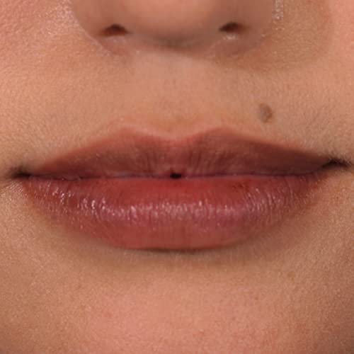 Palladio Lip Stain, Hydrating And Waterproof Formula, Matte Color Look, Longlasting All Day Wear Lip Color, Smudge Proof Natural Finish, Precise Chisel Tip Marker, Nude #TOP26