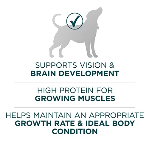 Purina ONE Natural, High Protein, Large Breed Dry Puppy Food, +Plus Large Breed Formula - 31.1 lb. Bag - Image 5