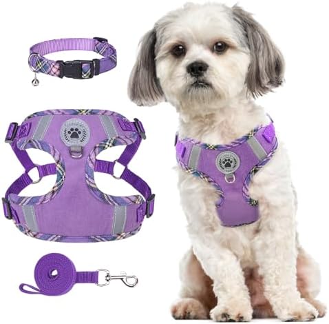 BEAUTYZOO Dog Harness Small Sized, Step in No Pull Dog Harness Collar and Leash Set, Easy Walking Reflective Vest for Small Dogs, Adjustable Soft Mesh Padded Puppy Harnesses Pet Accessories,Purple XS