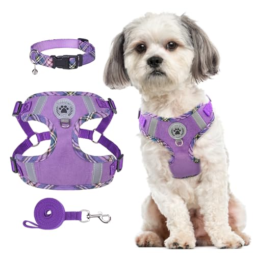 BEAUTYZOO Step in Dog Harness Collar and Leash Set for Small Medium Large Dogs, No Pull No Choke Puppy Harness, Soft Mesh Reflective Pet Padded Vest Adjustable for Doggie Girl or Boy,Chihuahua, Yorkie