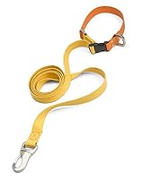 Algopix Similar Product 16 - WEST PAW Jaunts Dog Leash with Comfort
