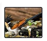 Die rutschfeste Natura-Gummi-Unterseite hält den Desktop fest und ist mit optischen, drahtlosen oder Lasermäusen kompatibel