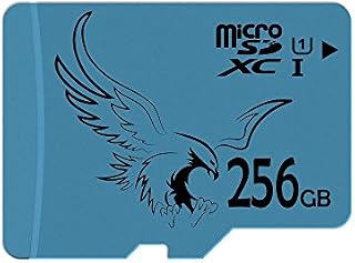 BRAVEEAGLE 256GB Micro SD Card Class 10 Flash Memory Card with SD Adapter