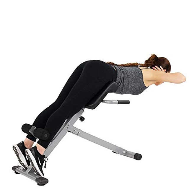 Sunny Health & Fitness Foldable Hyperextension Roman Chair w/Back Extension, Home Gym Sit Up Bench for Glute & Ab Workouts, Optional Adjustment Incline & Multi-Function Heavy-Duty Exercise Equipment
