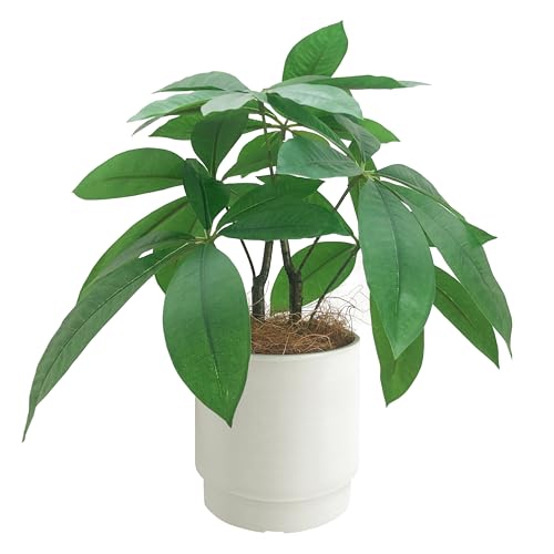 Rilmyi~[j tFCNO[  ϗtA pL  lHϗtA CeA IV CeAO[ ~j tFCN 33p Jo[t RRt@Co[t 3_Zbg (pL)