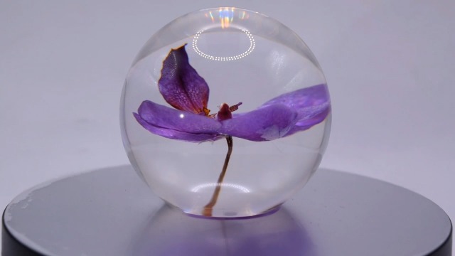 Image of 2.6 inch Real Purple Orchid in Crystal Clear Lucite Resin Ball October Birth Month Flower Anniversary Wedding Engagement Valentine Gift Botanist Herb Herbarium Paperweight Display Decor Collection