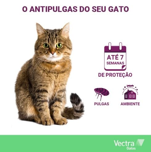 Kit 3 Vectra Gatos Para Gatos Até 10kg - 3 Pipetas Ceva