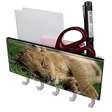 Crochet Mural Multifonctionnel Beau Lion Qui Dort Crochets Décoratifs Avec Compartiment De Rangement Dans La Cuisine Et La Salle De Bain 18x7 cm
