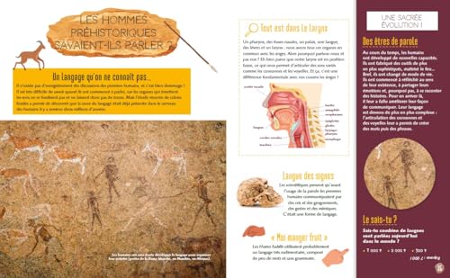 La Préhistoire expliquée aux enfants – vue 5