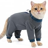 Combinaison de récupération après chirurgie pour chat après une chirurgie avec jambes, empêche l'animal de mâcher du site d'opération de mastication, excellente protection après une chirurgie (gris