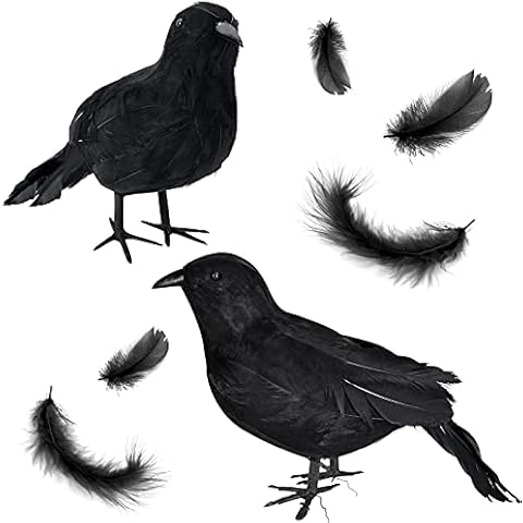 Lapogy 2Pack Realistic Black Crows Halloween Raven Decorations,Large Handmade Black Feathered Crow Decoration for Halloween,Black Halloween Decor for Yard Farmhouse Home Outdoor/Indoor Cover
