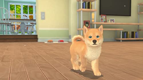 My Universe: Pets Edition - Image 5
