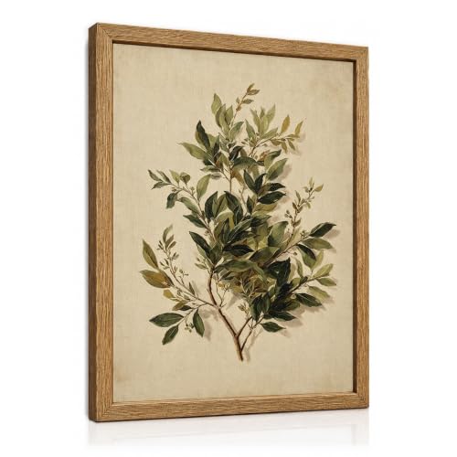 Wood Framed Vintage Botanical Wall Art, Olive Leaf Canvas Print 12x16in | Muted earthy green tones, antique leaf illustration, farmhouse boho cottagecore gallery, living room bedroom home office