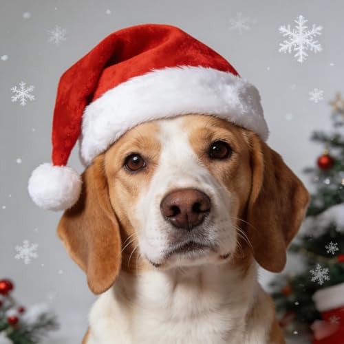 HemeraPhit Santa Hats Adult for Christmas Party Holiday Suit for Men Women Kids and Pet, Red Velvet with Plush Brim Classic Soft Touching Xmas Festival Headwear with Comfort Liner HemeraPhit Santa Hats Adult for Christmas Party Holiday Suit for Men Women Kids and Pet, Red Velvet with Plush Brim Classic Soft Touching Xmas Festival Headwear with Comfort Liner