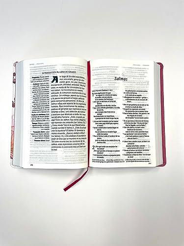 Santa Biblia Ntv, Edición Personal, Letra Grande (Letra Roja, Sentipiel, Rosa): Nueve Traduccion Viv