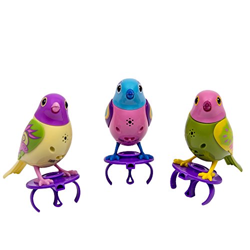 DigiBirds - 3 Count Set of DigiBirds - Purple Set
