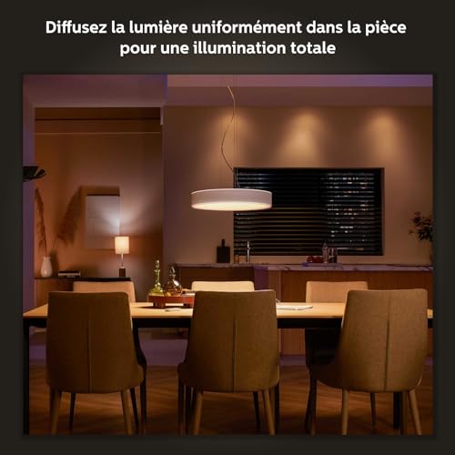 Philips Hue Ambiance Suspension Enrave 915005998001 - vue 9