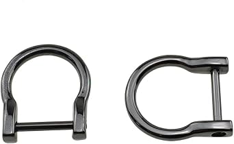 HAHIYO D-Rings with Screw Shackle Horseshoe U Shape Key Ring Purse Holder Screw in Both Sides Line up for Strap Bag