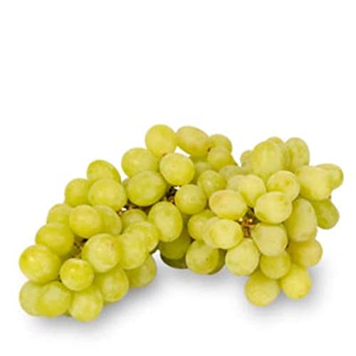 RAISIN BLANC SANS PEPINS - La barquette de 500g