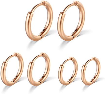 Surgical Stainless Steel Hoop Earrings 8mm/10mm/12mm Small Huggie Hoop Earrings for Women and Men (I: Rose Gold (Diameter 8mm/10mm/12mm),3 Pairs)