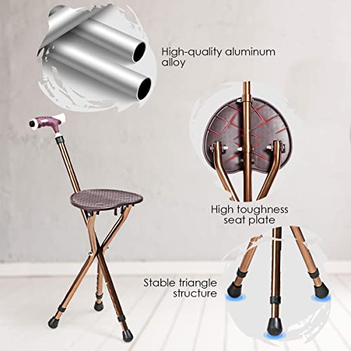 Pgclsjb Cane Stool Walking Seats Retractable Lightweight Walking Stick With Led Light For Elderly Outdoor Travel Rest Stool Folding Chair Large Weight Capacity #TOP1