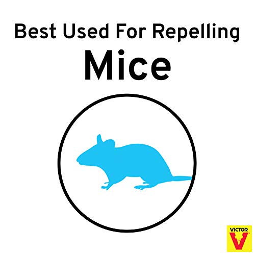 Victor M805 Scent-Away Natural Rodent Repeller - Peppermint Oil Mouse And Rat Repellent #TOP7
