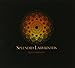 Splendid Labyrinths