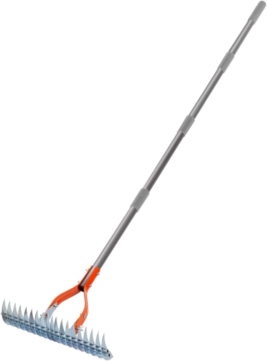 Creations Thatch Rake Lawn Hay Rake for Cleaning Grass Dethatching Lawn Grass GroomingHome & Garden|Yard, Garden & Outdoor Living|Gardening Supplies|Garden Tools & Equipment|Rakes