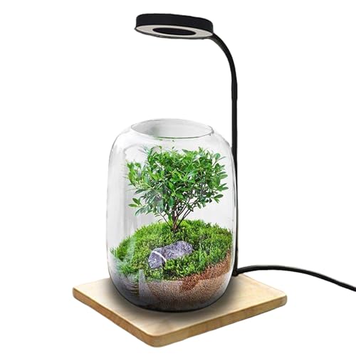Lampe végétale pour agriculture intérieure à LED rotative pour aquarium et terrarium