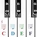 QMG Piano Stickers for Keys,Colorful Piano Keyboard Stickers for 49/61/ 76/88 Key Keyboard White and Black Keys, Removable, Kids Learning Piano, No Residue Leaves