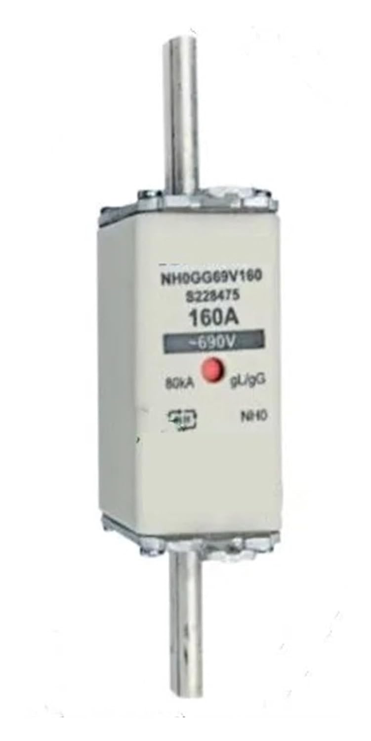 Fuses NH0GG69V160 S228475