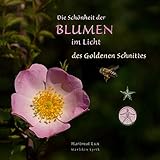 Die Schönheit der Blumen im Licht des Goldenen Schnittes (Merlikin-Lyrik: Hartmut Lux) - Hartmut Lux 