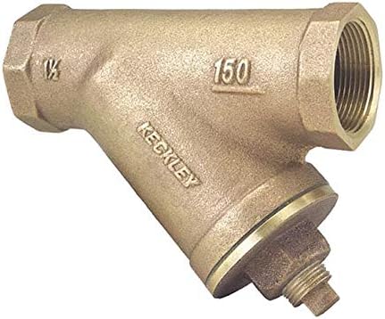 Y Strainer, 304 SS, 1/2", Threaded, Fibr