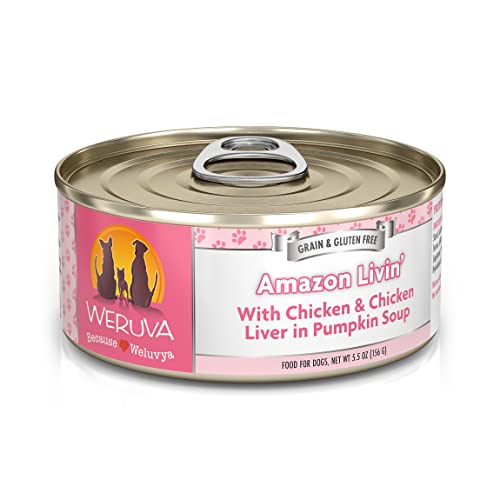 Weruva Classic Dog Food, Amazon Livin' With Chicken Breast & Chicken Liver In Pumpkin Soup, 5.5Oz Can (Pack Of 24) #TOP17