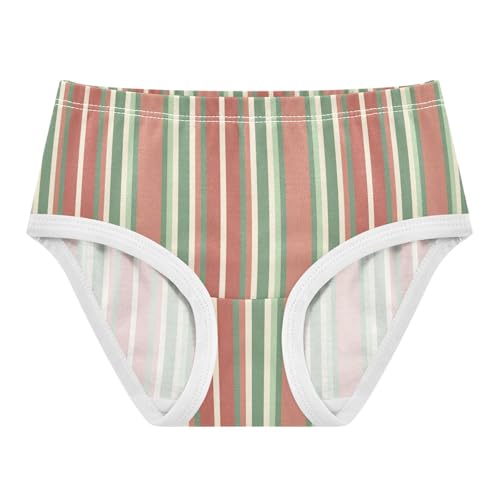 Red Green Stripe Toddler Girls's Underwear 2T 2300908