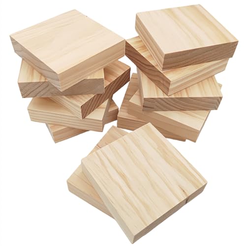 12PCS Unfinished Wood Square Blocks for Crafts 10x10x2.5cm Blank Wooden Squares Pine Wood Boards for Wood Carving,DIY Coasters,Painting & Burning