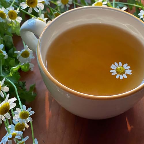 image for Bigelow Tea Bigelow Cozy Chamomile Herbal Tea,Caffeine Free Tea with C
