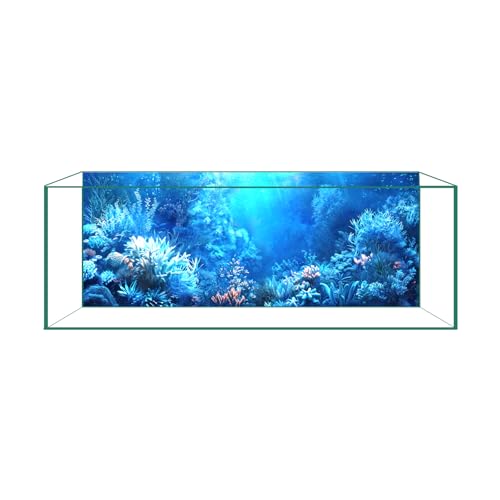 Blue Ocean Aquarium Background Film