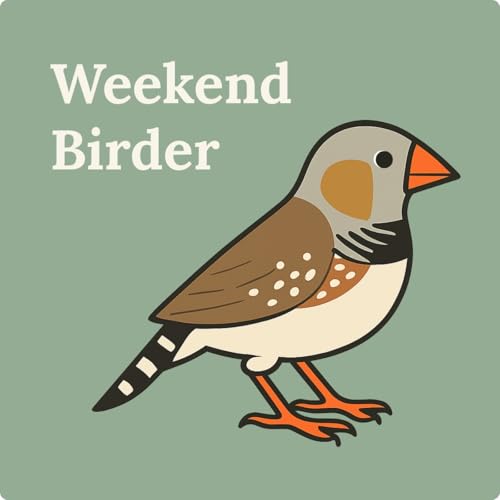 116 Broken Hill - with Anika Podcast Por  arte de portada