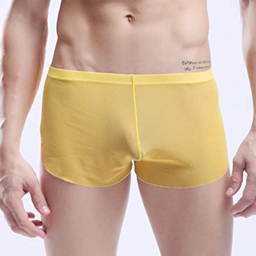 Men's Breathable Panties Split Side Boxer Briefs Underwear Transparent Trunks Shorts4