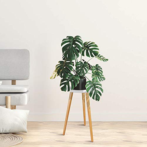 Indoor Plant Stand - Uneedem Wood Mid Century Plant Stand For Indoor Plants, Modern Plant Table,Tall Plant Holder For Flower Pots, Small Round Side Table, End Table (A3-White,High: 20.5") #TOP6