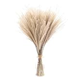 Lot de 50 herbes de pampa artificielles séchées de 40 cm - Style bohème...